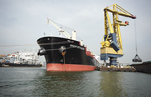 bedrijfsuitje rotterdamse haven